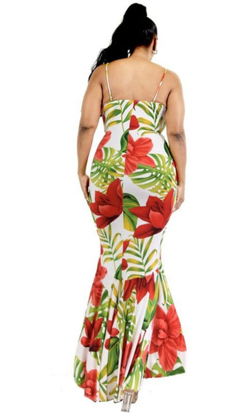 Amaryllis Maxi