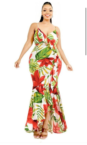 Amaryllis Maxi